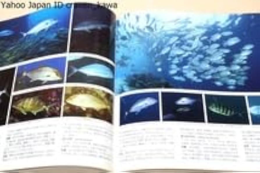 Amazon | 日本の海水魚・山渓カラー名鑑日本の海域にすむ海水魚